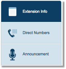 Extension Info option.