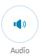 The Audio button allows you to customize your sound settings while on a call.