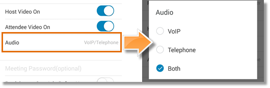 Audio option