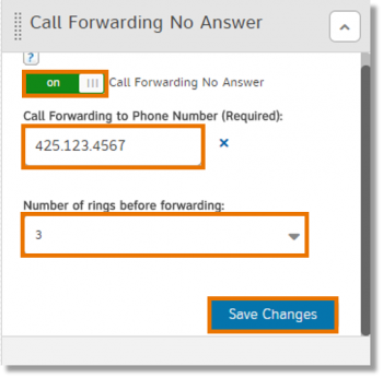 Call Forwarding No Answer section