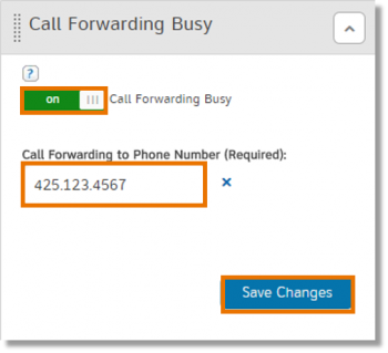 Call Forwarding Busy section