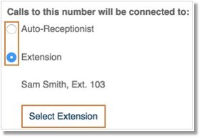 Choose Auto Receptionist or Extension