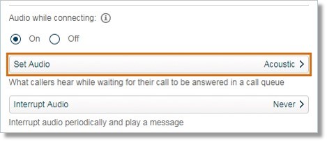 Click Set Audio.