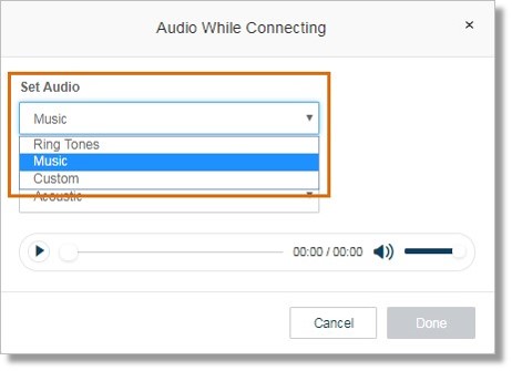 Click the drop-down box below Set Audio to select your preferred audio.