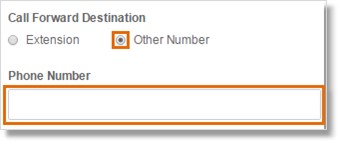 Image of the Call Forward Destination window.
