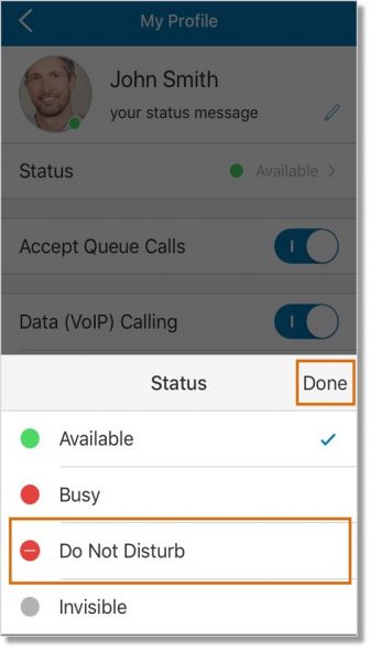 Tap Status, then select the DND status. Tap Done.