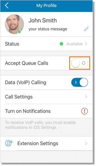 Tap the slider button opposite Accept Queue Calls to enable or disable your availability.