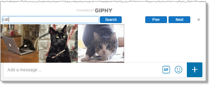 Add a GIPHY to chat (web and desktop only)