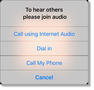 Choose an audio option (tablet)