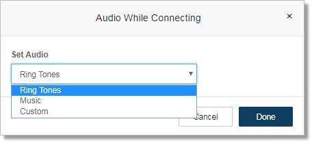 Select Audio. You can select from Ringtones, Music and Custom. 