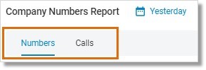 The Company Numbers Report is composed of 2 tabs.