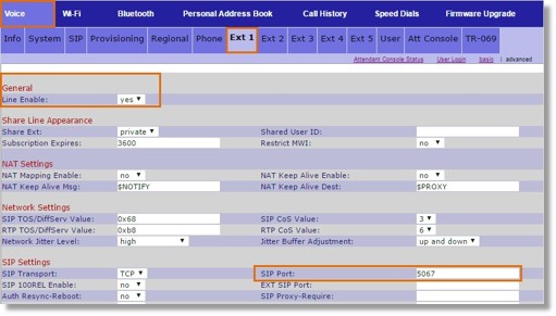 Go to Voice, and then configure the following settings under Ext 1.