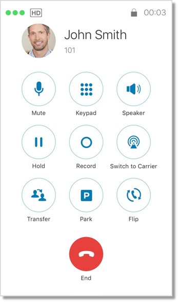 When an incoming call is accepted, a screen with the following options appears