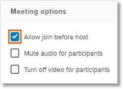 Under Meeting options, check Allow join before host.