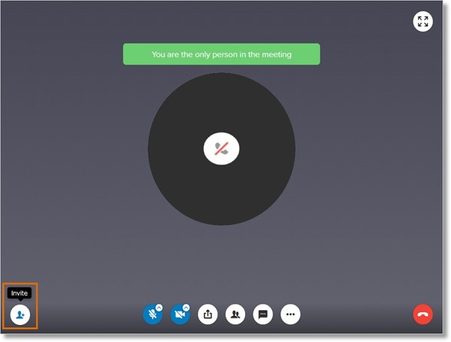 Once the meeting starts, you will the screen as shown