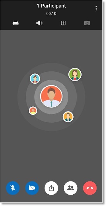 Once the meeting starts, you will the screen as shown