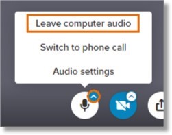 Click the up-arrow on the Mute microphone icon and then click Leave computer audio.