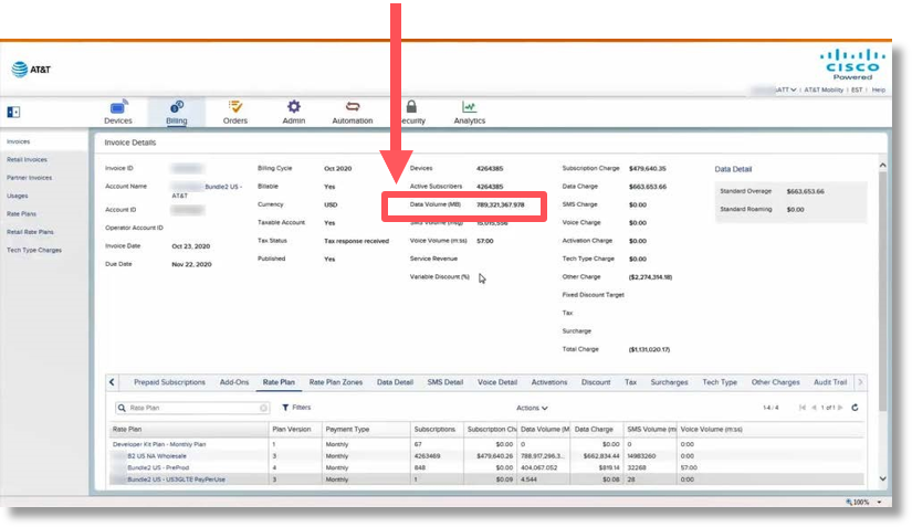 Data volume broken down by megabytes on the Invoice Details screen.