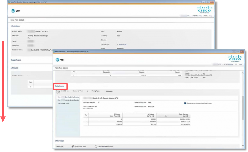 Scroll down the Rate Plan Details screen to view the Data Usage section.