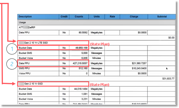 Each subsection within the Usage section is broken down my rate plan, and then by usage type.