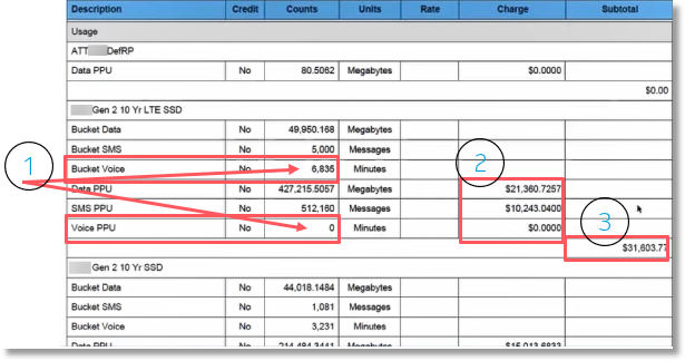 SMS and Voice Bucket and PPU are detailed and calculated the same Data Bucket and PPU.