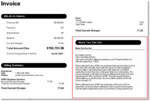 Billing Invoice Overview Example 3 - Invoices with Domestic ...