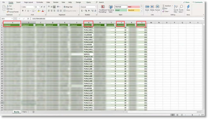 JPO Report Columns used for Customer Acquisition Bounty Invoice Validation