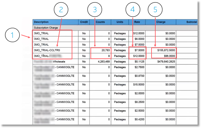 This section near the top of the invoice provides a breakdown