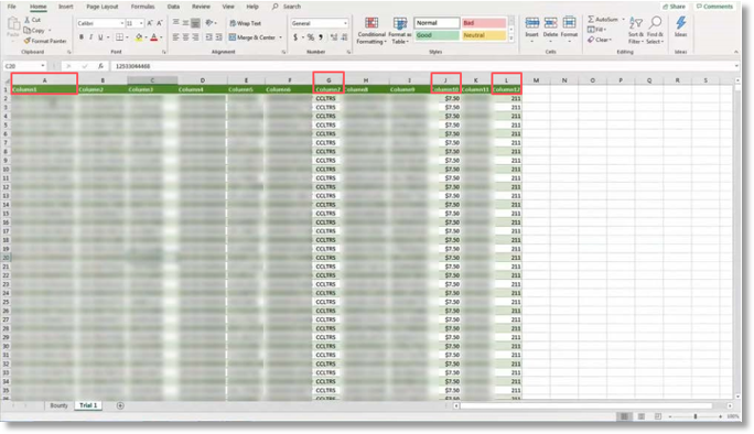 JPO Report Columns used for Retail Trial Cost Share Invoice Validation