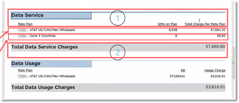 The Data Service Charges are broken down by Rate Plan.