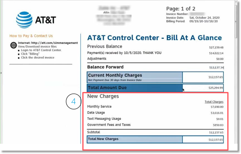 The New Charges section shows the types of charges associated with the invoice.