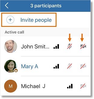 When you tap Participants, you will have access to the following controls.