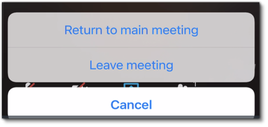 Leave meeting: Tap to leave the meeting.