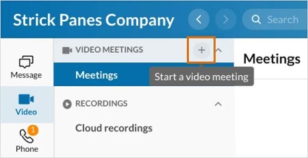 start a new meeting by hovering your mouse over the Meetings section name in the left pane and selecting the Start a video meeting plus button that appears at the far right.