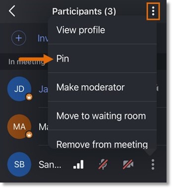 Tap Participants in the bottom menu bar, then tap the three-dot More icon to the far right of their name. Tap Pin.