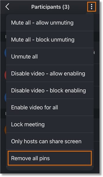 Tap Participants in the bottom menu bar, then tap the three-dot More icon at the top right.