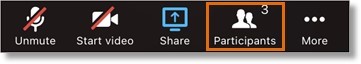 Tap Participants in the bottom menu bar
