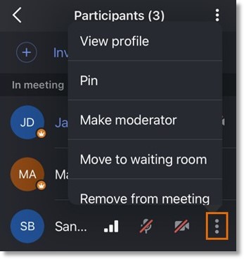 To manage attendees individually while in a meeting, tap Participants via the bottom menu bar, then tap the More icon at the far right of the attendee's name.