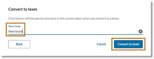 Enter a Team name, then click Convert to team.
