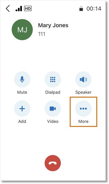 While on a live call, tap the three-dot More icon.