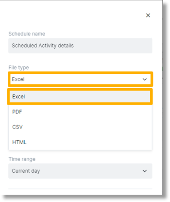 Click inside the dropdown field below “File type” and select the file type for the report.