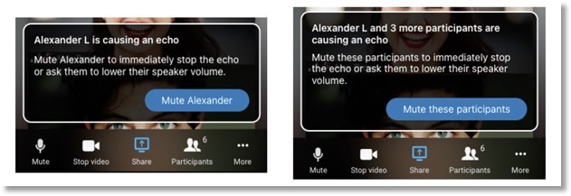 Image of echo notifications. 