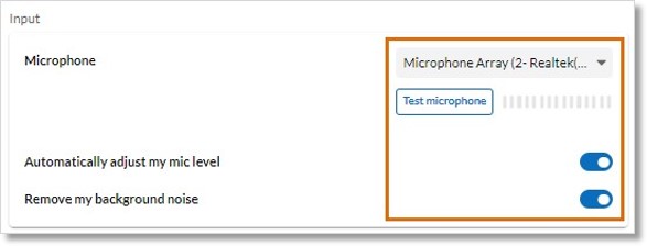 Image of the microphone settings. 